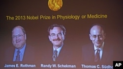 Giải Nobel Y học 2013 được trao cho 2 người Mỹ Randy Schekman và Thomas Suedhof và 1 người Đức Thomas Suedhof.